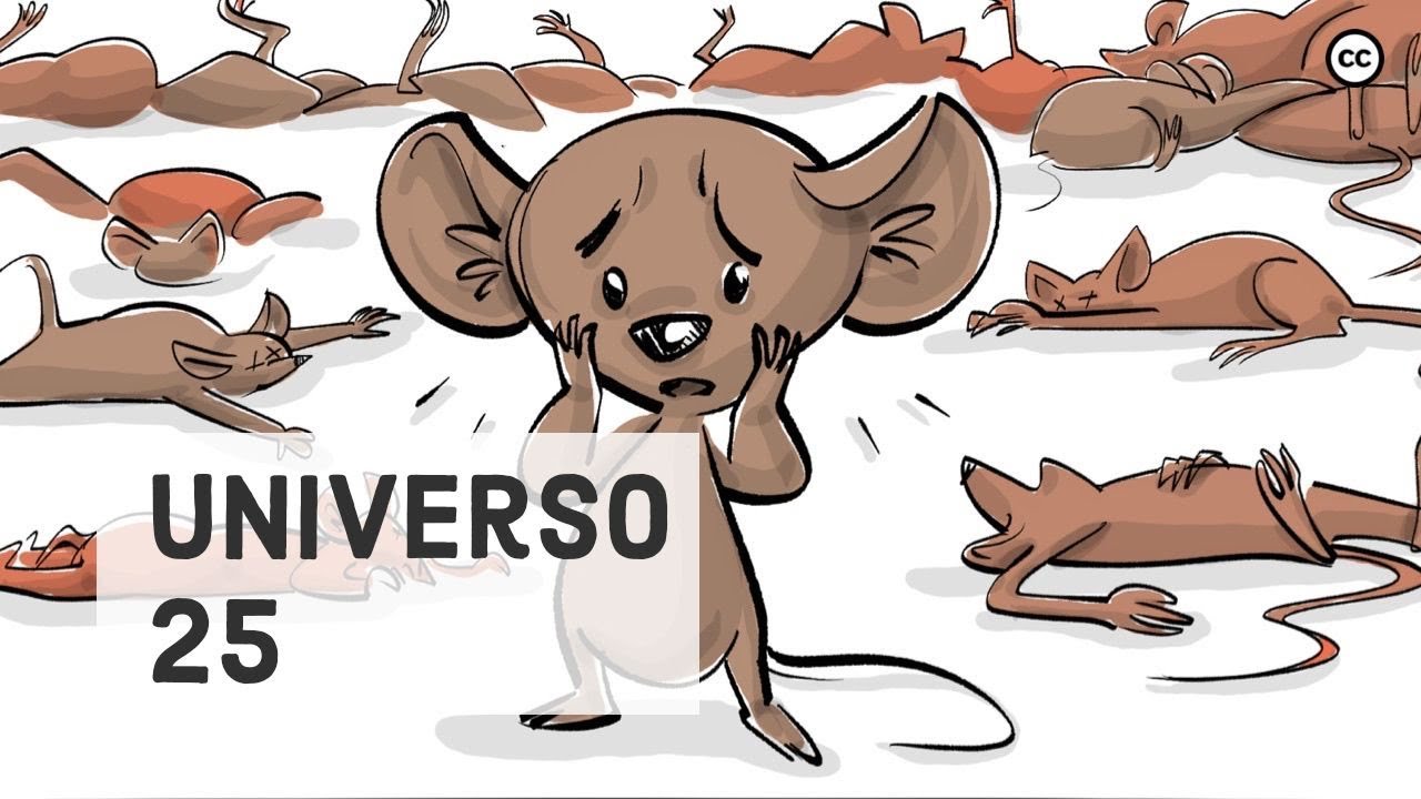 Os Experimentos Com Ratos do Universo 25