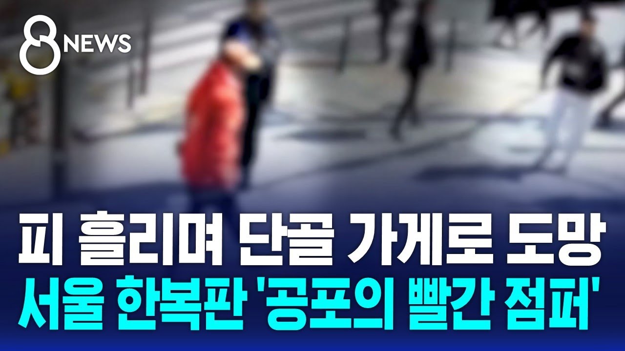 대낮 흉기 3개 들고 활보한 50대…방화 막으려던 행인 공격 / SBS 8뉴스