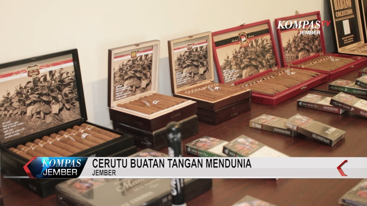 Cerutu Jember Mendunia