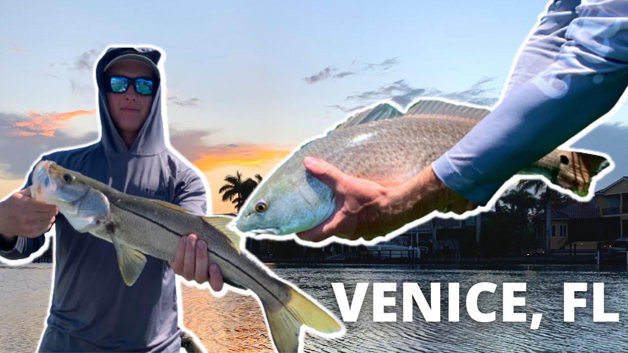 SNOOK and REDFISH Inshore Fishing Venice, FL! (So many fish)