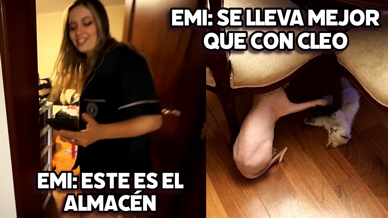 EMIKUKIS LE HACE UN TOUR DE LA CASA AL NUEVO GATO + TERMINA JUGANDO CON BILLS