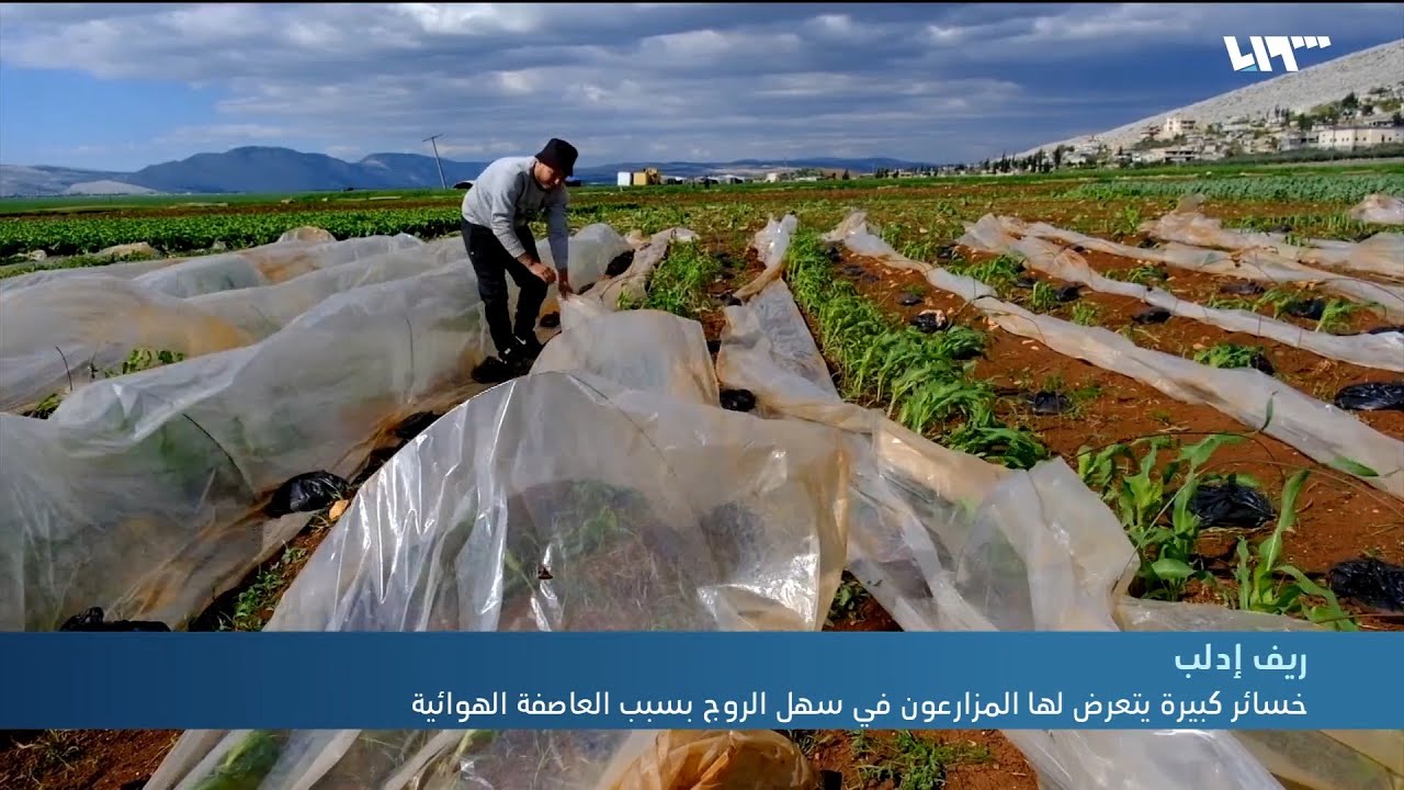 خسائر كبيرة يتعرض لها المزارعون في سهل الروج بسبب العاصفة الهوائية
