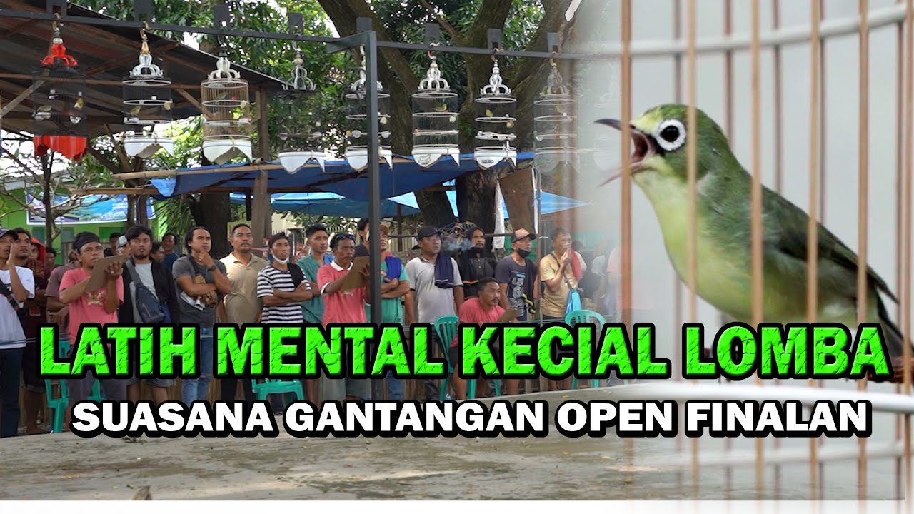 SUASANA OPEN FINALAN AUDIO MELATIH MENTAL KECIAL BAKALAN