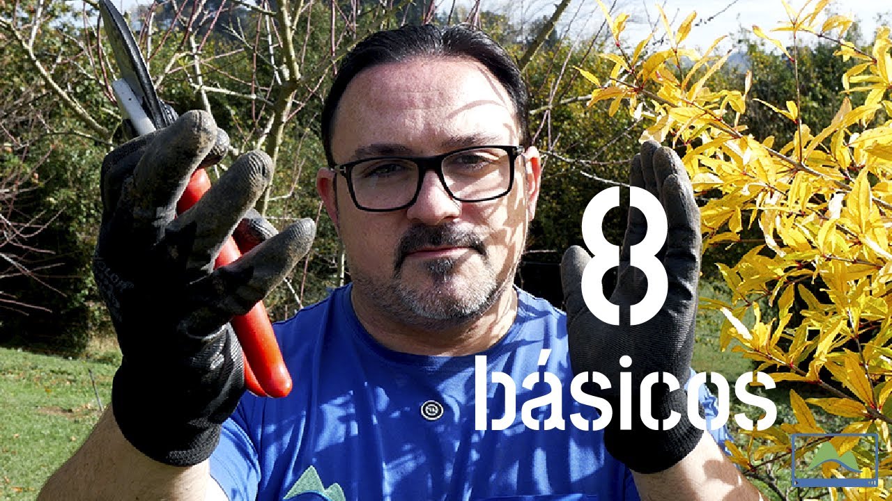 8 TRUCOS básicos de PODA 🪵🌳 con Kamikaze ✂️🌿 #LdN #frutiCULTURA
