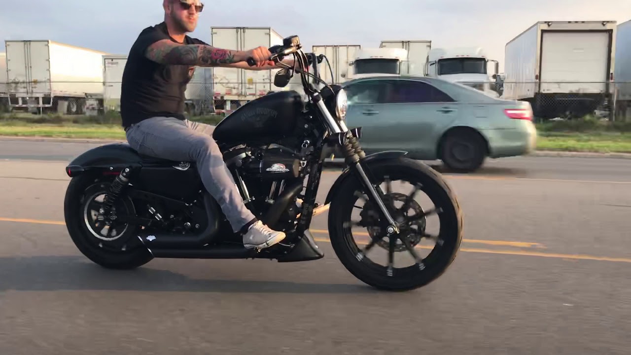 Harley 883iron bobber
