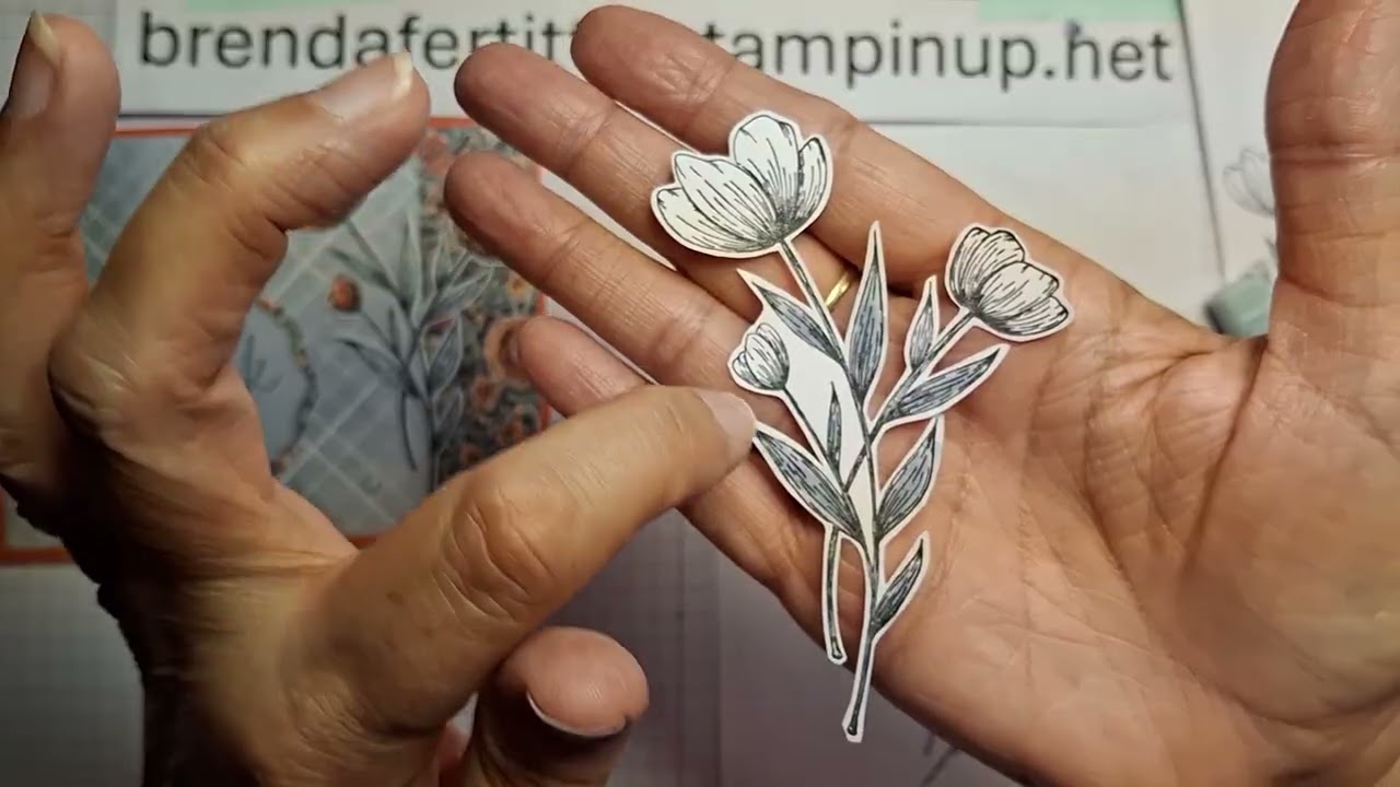 Имитация складной открытки с использованием краски Spotlight on Nature #stampinup