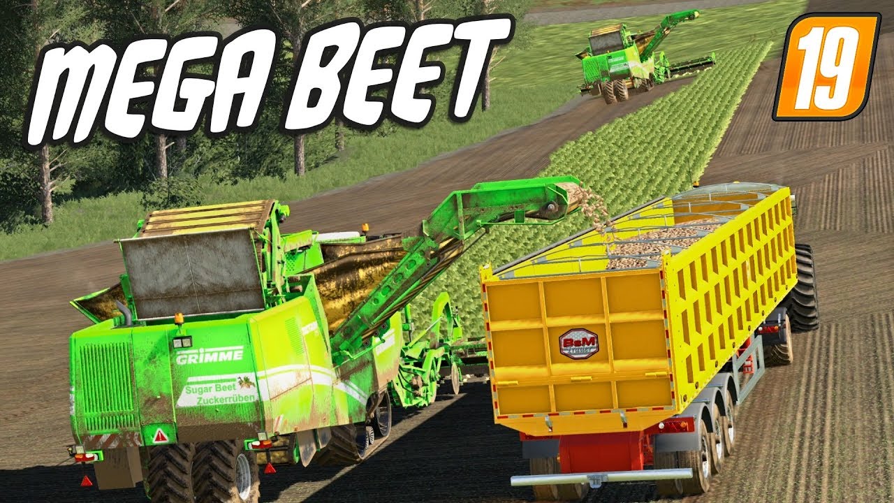 MEGA BEET...MAKING A SUCCESSFUL FARM - FS19 | Lone Oak Farm