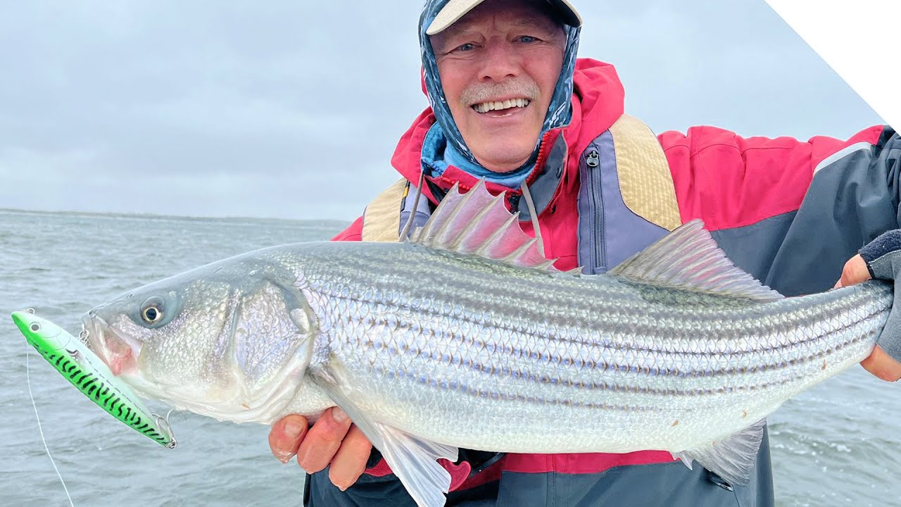 Topwater Striper Fishing - exciting triple header!!