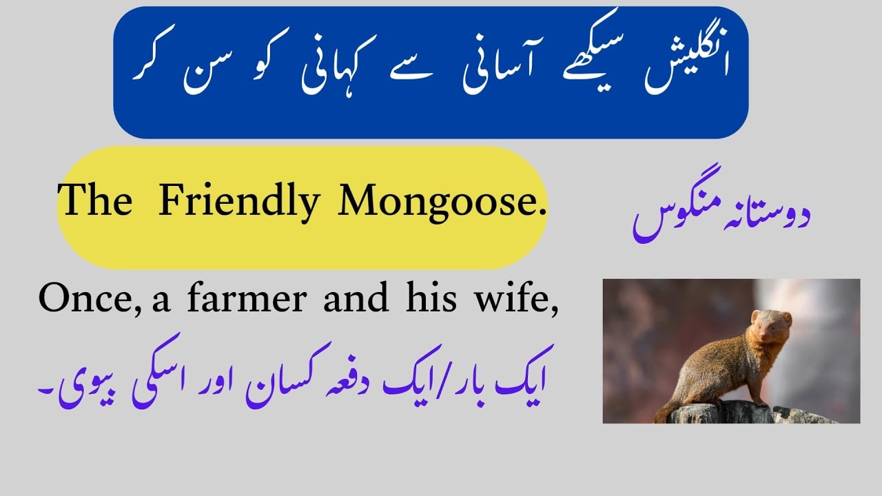 English Story | Friendly Mongoose | With Urdu  Translations English Reading sikhe | Engrazi Padhen.