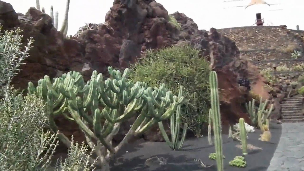 Amazing Cactus Garden on Lanzarote, Canary Islands, 05.05.2010,  fuji hs 10