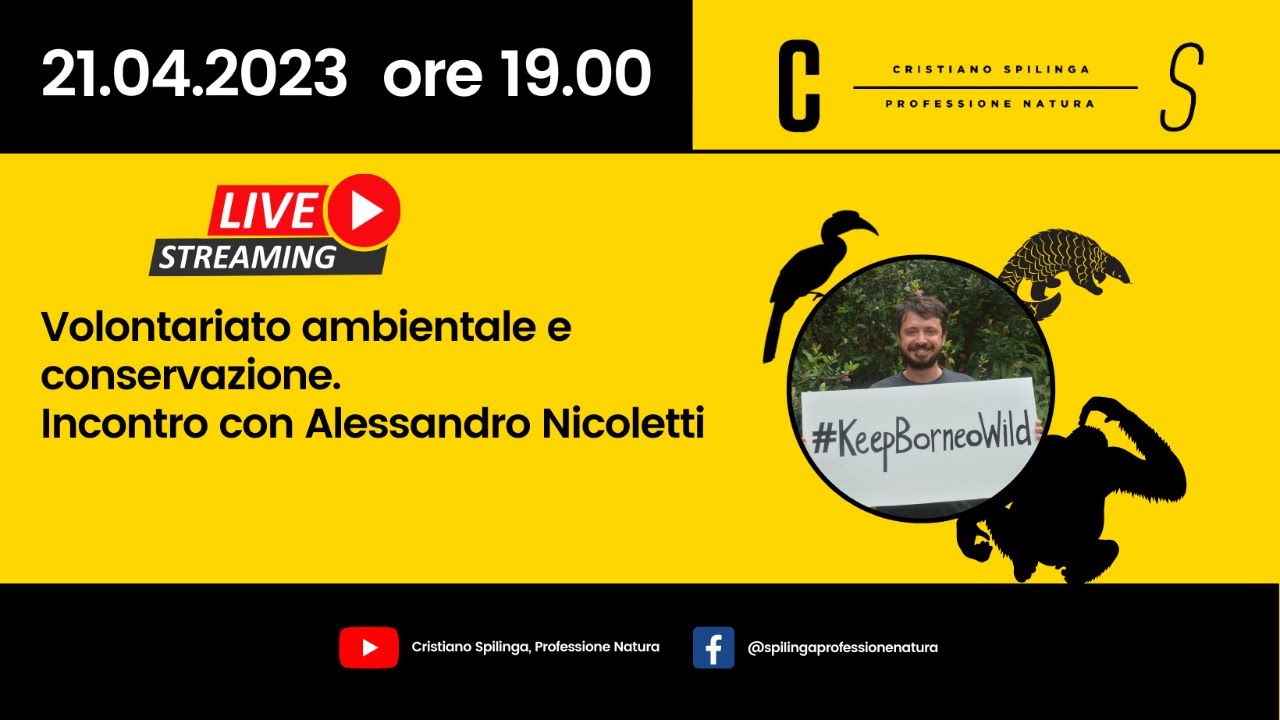 Volontariato ambientale e conservazione. Incontro con Alessandro Nicoletti