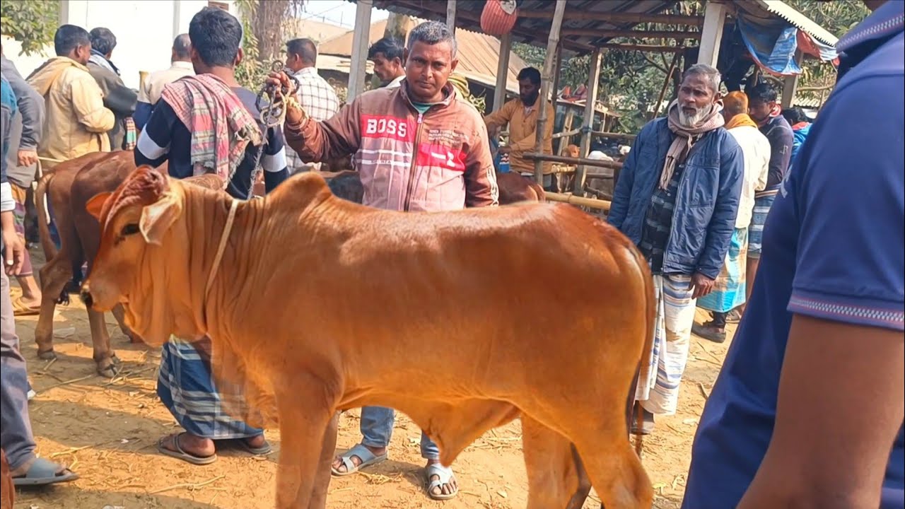 @আজ ২২ জানুয়ারি