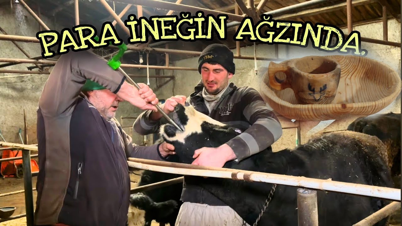 KÖYLÜDEN ZENGİN OLUR MU? KÂR ORTAĞINIZ PARAZİTLER İLE MÜCADELE. AHŞAP OYMACILIĞI VE KUKSA YAPIMI.