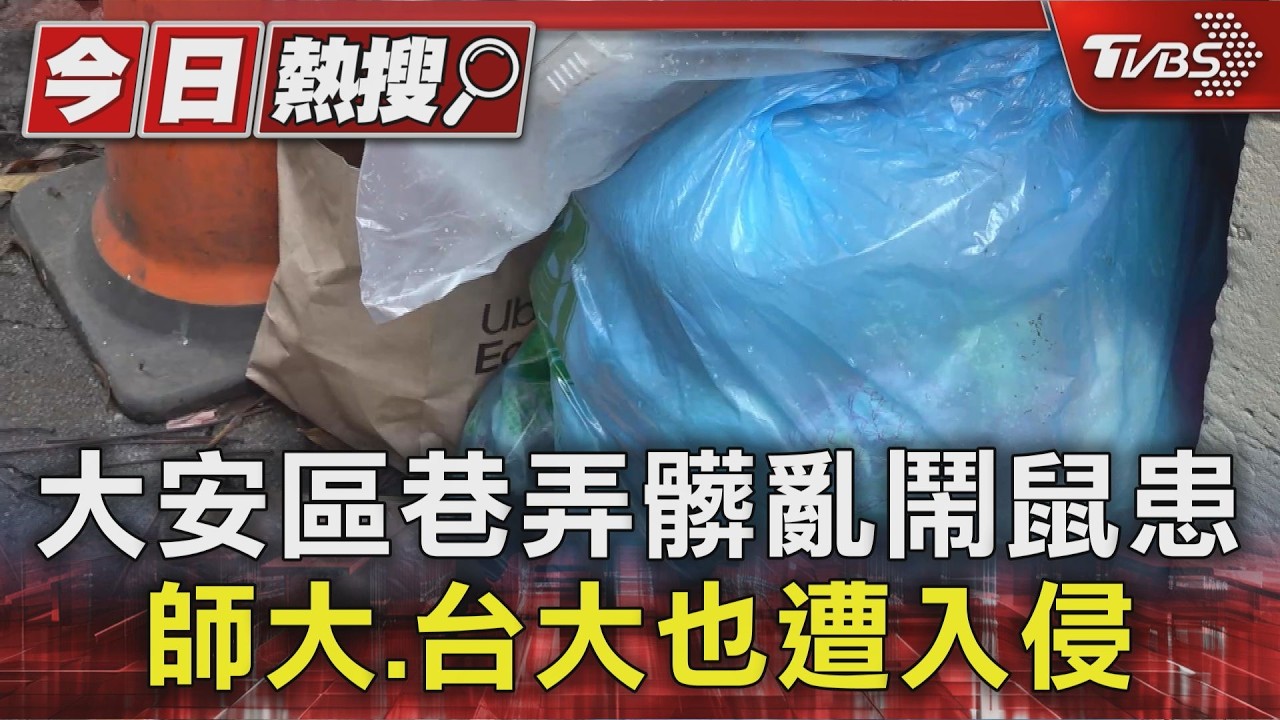 #獨家 大安區巷弄髒亂鬧鼠患 師大.台大也遭入侵｜TVBS新聞 @TVBSNEWS01