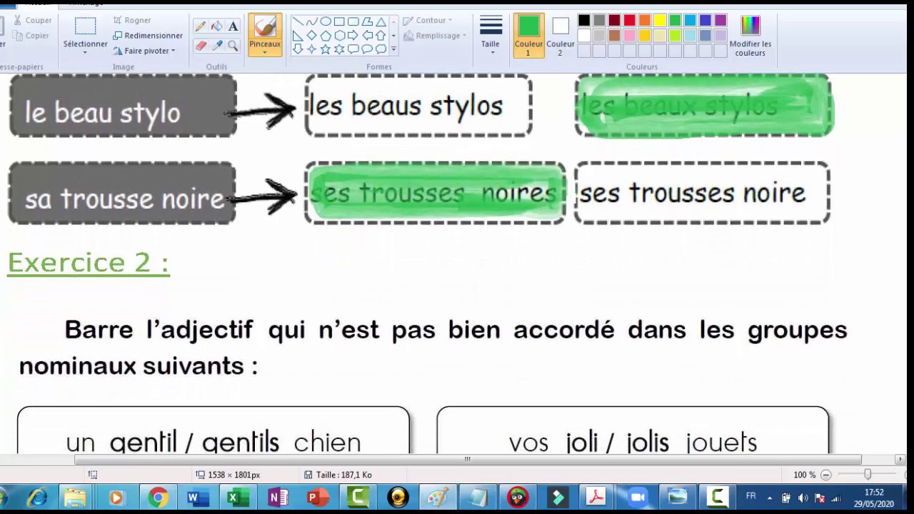 L'accord dans le GN  Correction des exercices