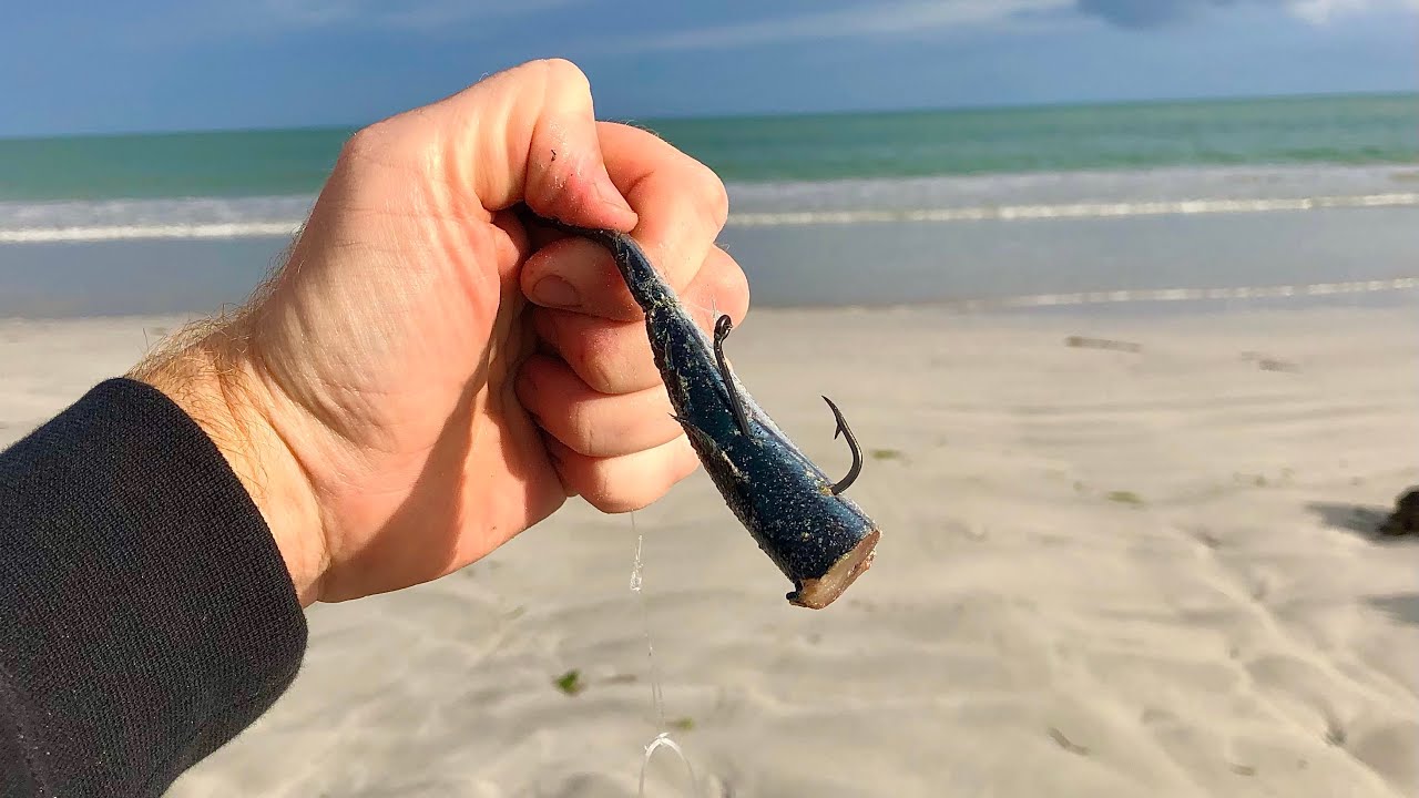 This Bait Will Always Catch Fish !?! Chasing a BIG Snapper Landbased EP 3