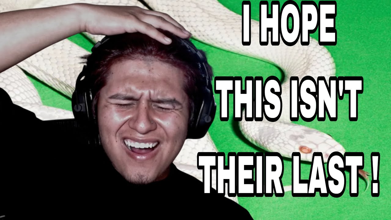 THIS Was So BEAUTIFUL ... ! / Limihtz Reacts To Deftones - Private Music (ALBUM)