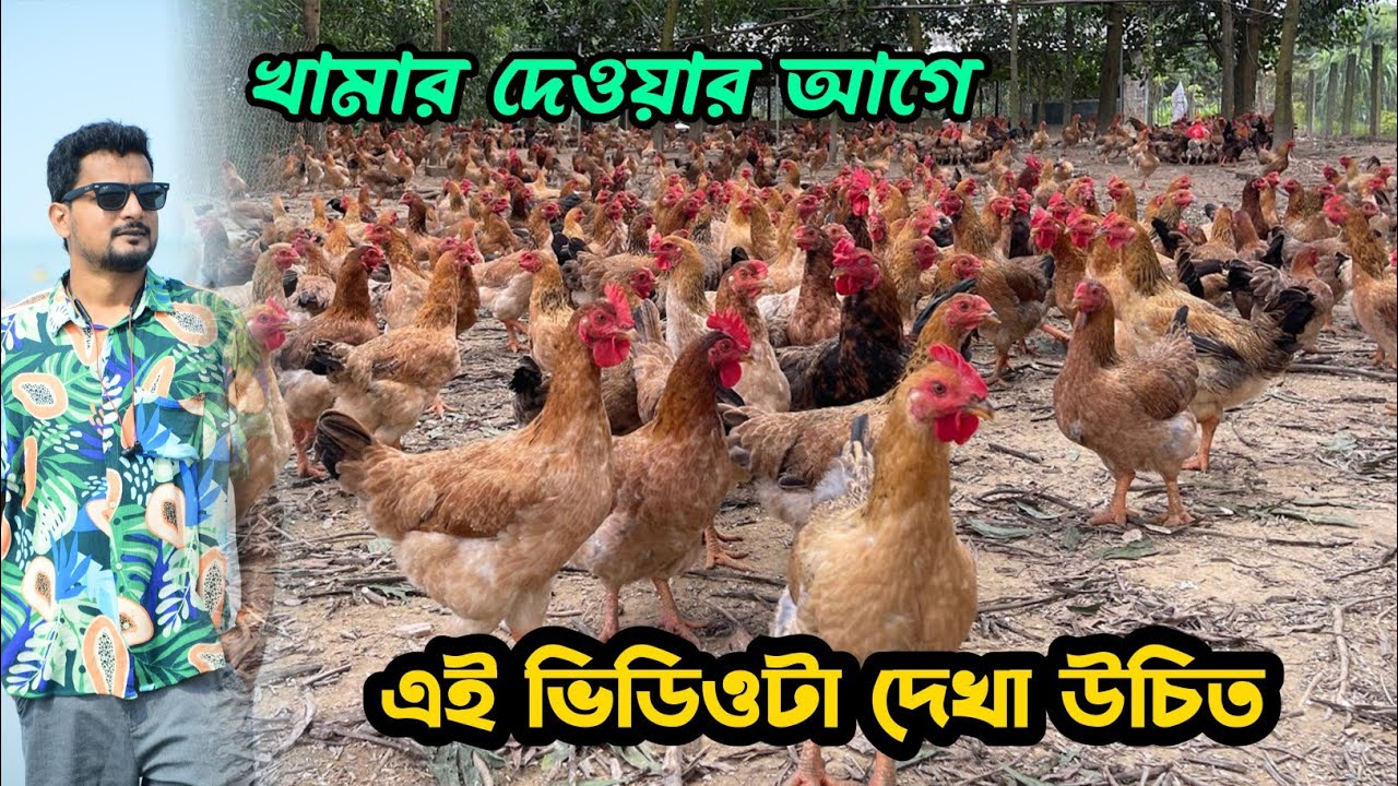 খামার দেওয়ার আগে এই ভিডিওটা দেখা উচিত #shakilfarming #murgi
