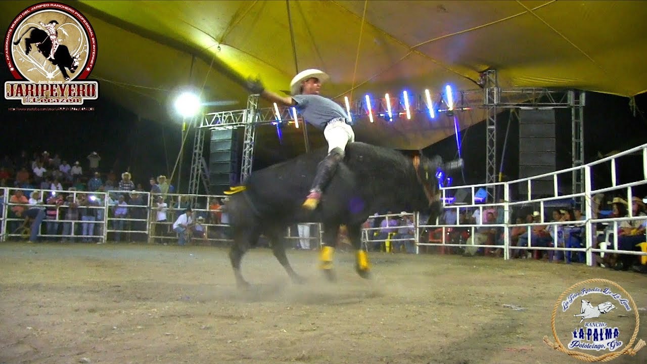 ¡¡LE QUEBRO LA CINTURA!! Rancho La Palma En Pololcingo Gro 14 Octubre 2019