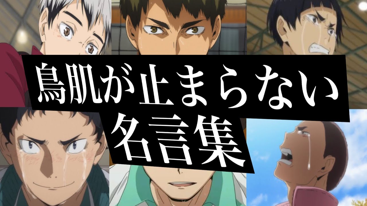 【名場面・名言集】感動・勇気・心に刺さるアニメハイキュー名言集　（挑戦しようか迷っているあなたへ）