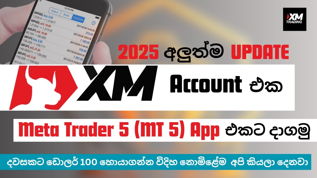 How to Link XM Trading Account and MT5 / MT4 App | XM ගිණුම Meta Trader 5 (MT5) App එකට දාගමු