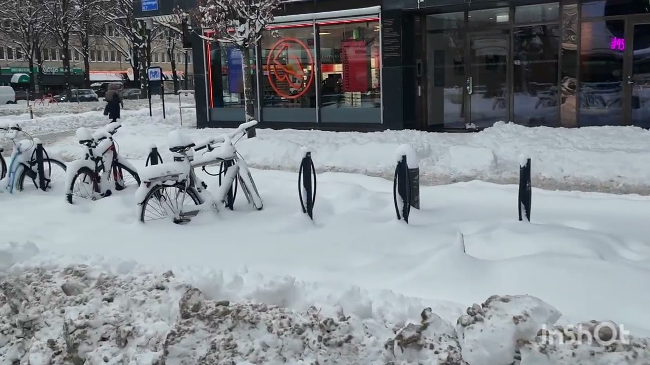 Yak rozibarfi da Göteborg Sweden 