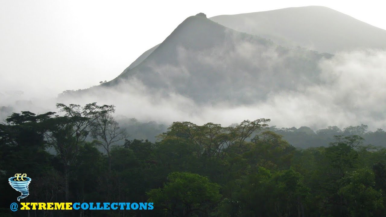 Mount Nimba Strict Nature Reserve in Guinea