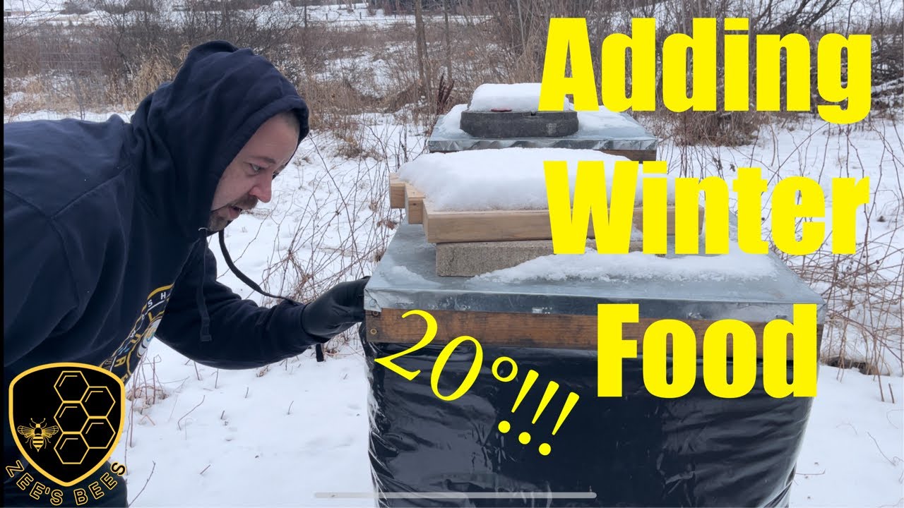Overwintering Honeybees in Wisconsin