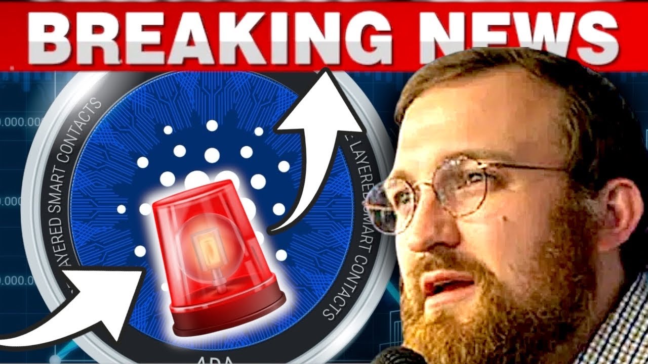Основатель Cardano обещает держателям ADA нечто грандиозное!
