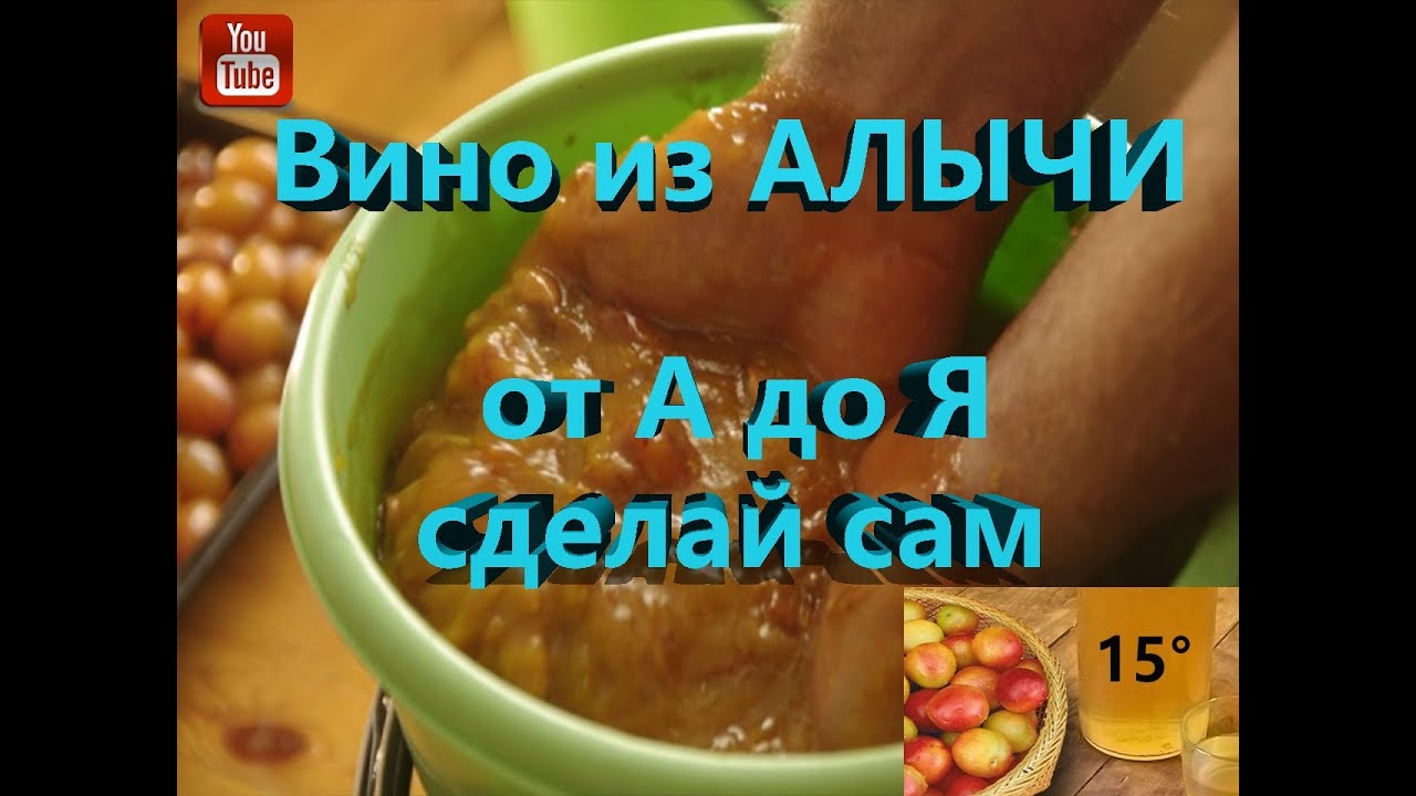 Вино из алычи  Как сделать вино из АЛЫЧИ