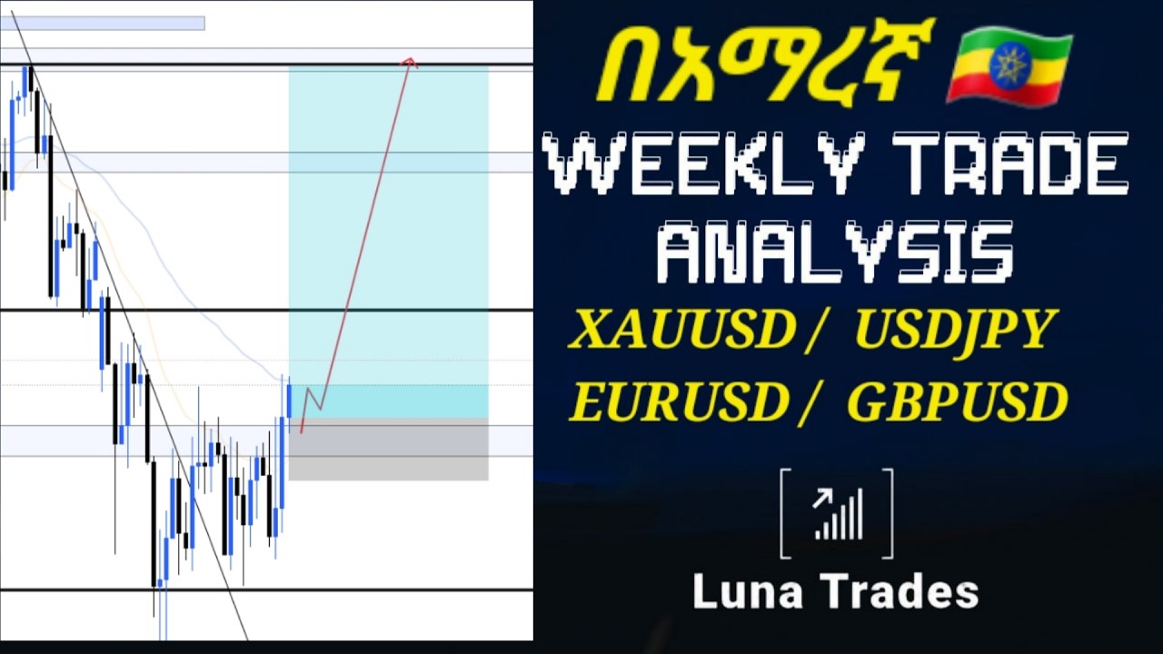 weekly market analysis🔵8/3/2026