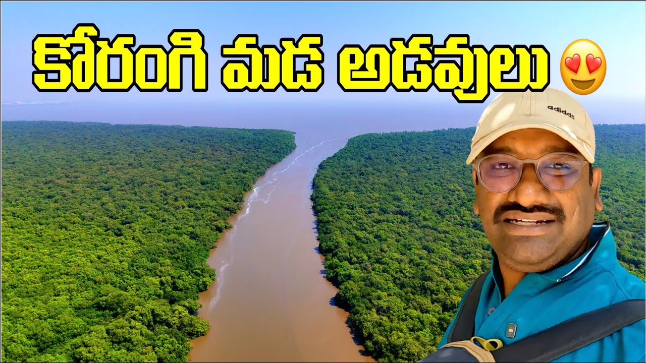 Coringa Wildlife Sanctuary Kakinada 🌿 | India’s 2nd Largest Mangrove Forest | Andhra Pradesh Tourism