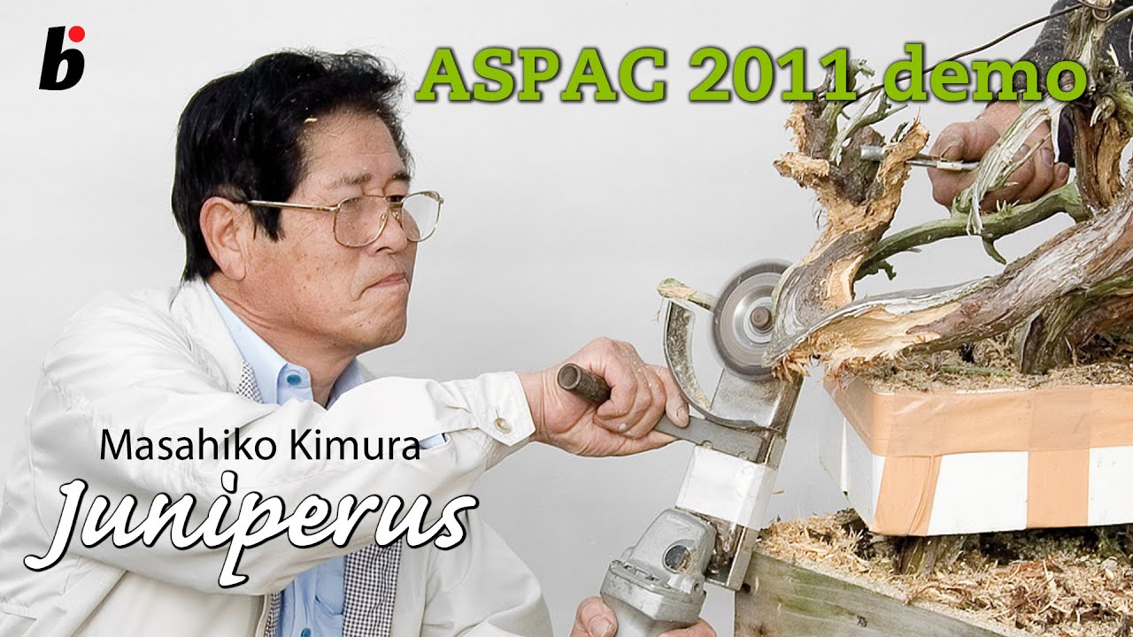 ASPAC KIMURA DEMO 2011