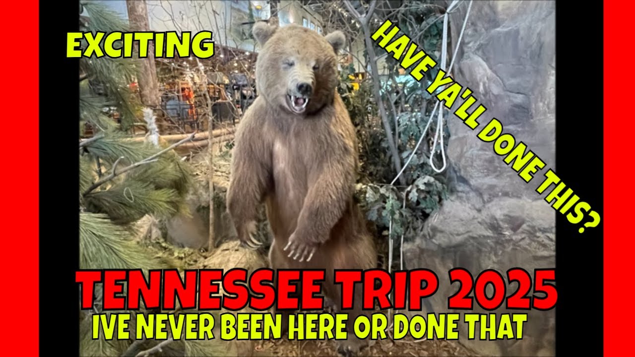 ПЕРВЫЙ РАЗ В TOP GOLF И ПЕРВЫЙ РАЗ В BASS PRO SHOP ТЕННЕССИ. ВИДЕО ПОЕЗДКИ № 11