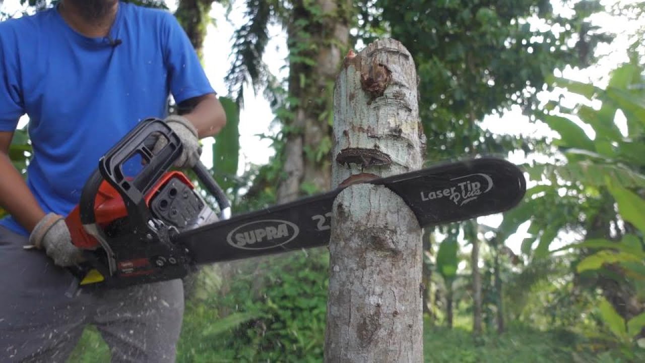 chainsaw 2 tak cuma 850 rebu.. ediann!! - tes dan review supra SPR6800 expert gasolin chainsaw 22