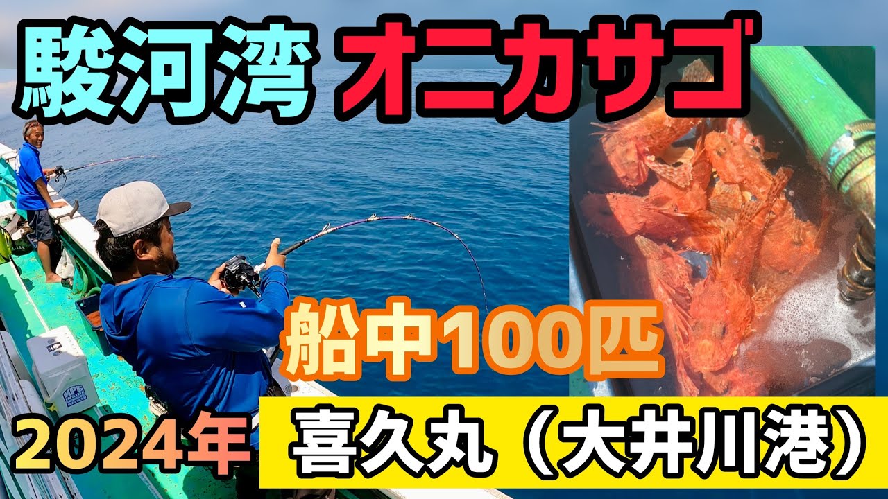 【駿河湾オニカサゴ】 喜久丸 ・大井川港 2024年 #86