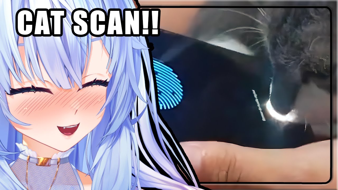 NEW SECURITY METHOD JUST DROPPED!!! | Mifuyu Reacts to UNUSUAL MEMES COMPILATION V287