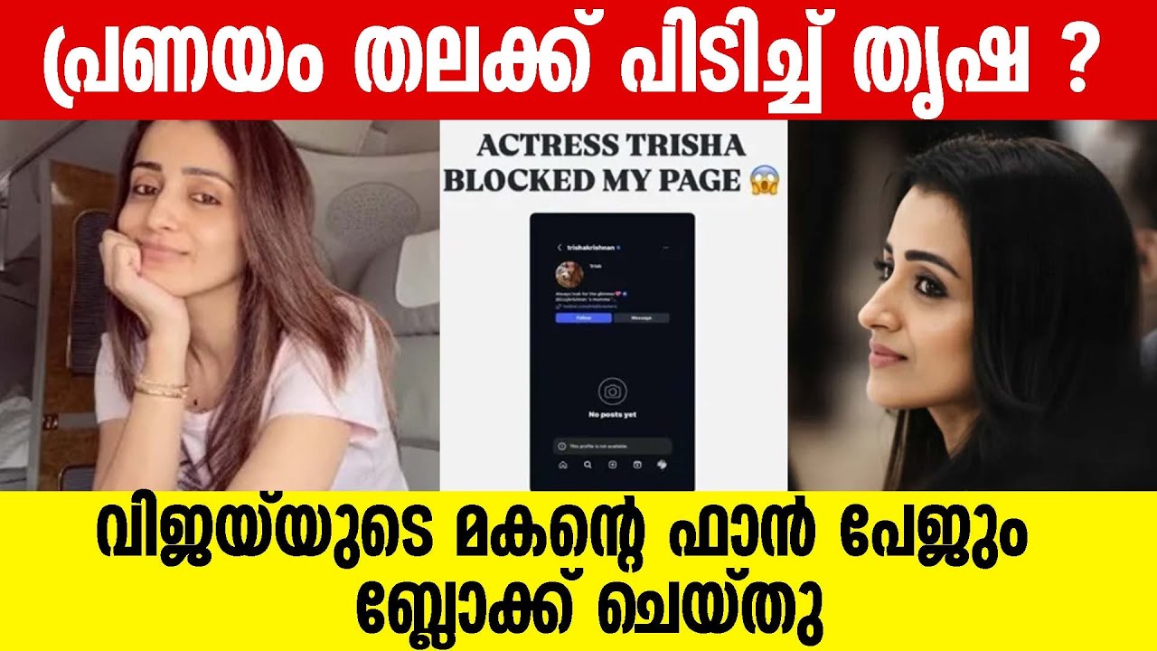 ജേസൺ സഞ്ജയിന്റെ ഫാൻ പേജ് ബ്ലോക്ക് ചെയ്ത് തൃഷ കൃഷ്ണൻ  | trisha krishnan and vijay gossips