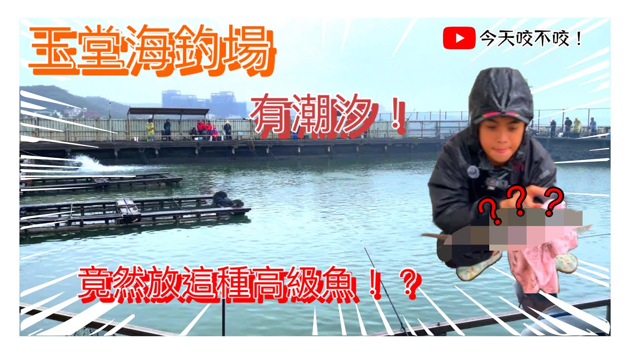 【玉堂海釣場】竟然放這種高級的魚！？《海釣場咬起來！》EP1.#秋潮#fishing #釣り #海釣場