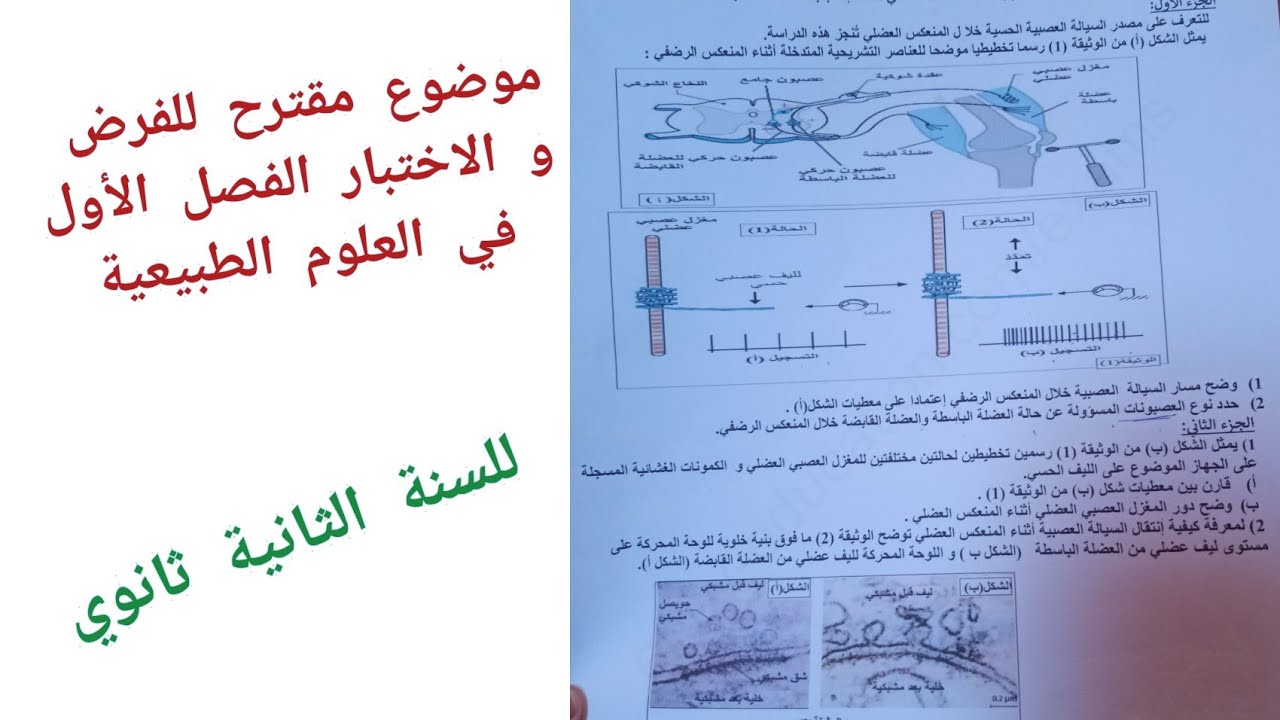 موضوع مقترح للفرض و الاختبار الفصل الأول في العلوم الطبيعية للسنة الثانية ثانوي علوم تجريبية