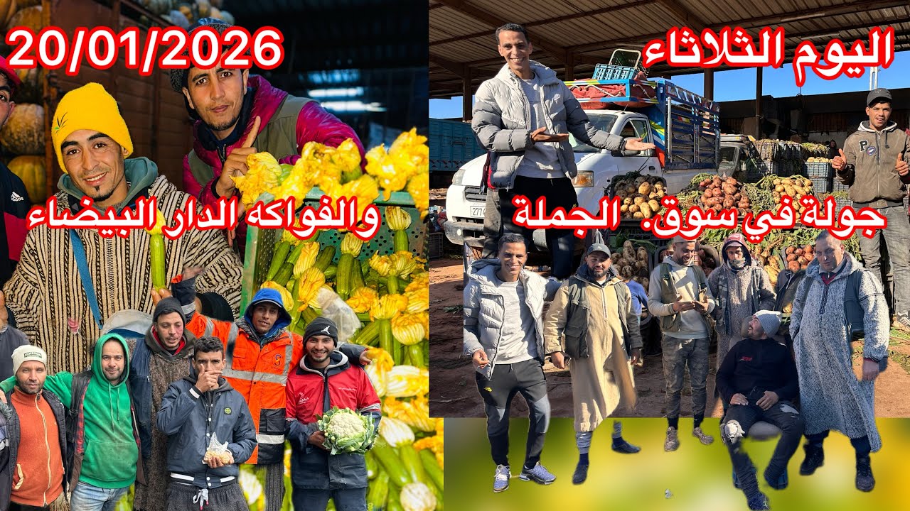 الثلاثاء 20 يناير 2026 | من سوق الجملة للخضار والفواكه بالدار البيضاء 🍅🍊شفـو الأثمنة ديال اليوم 