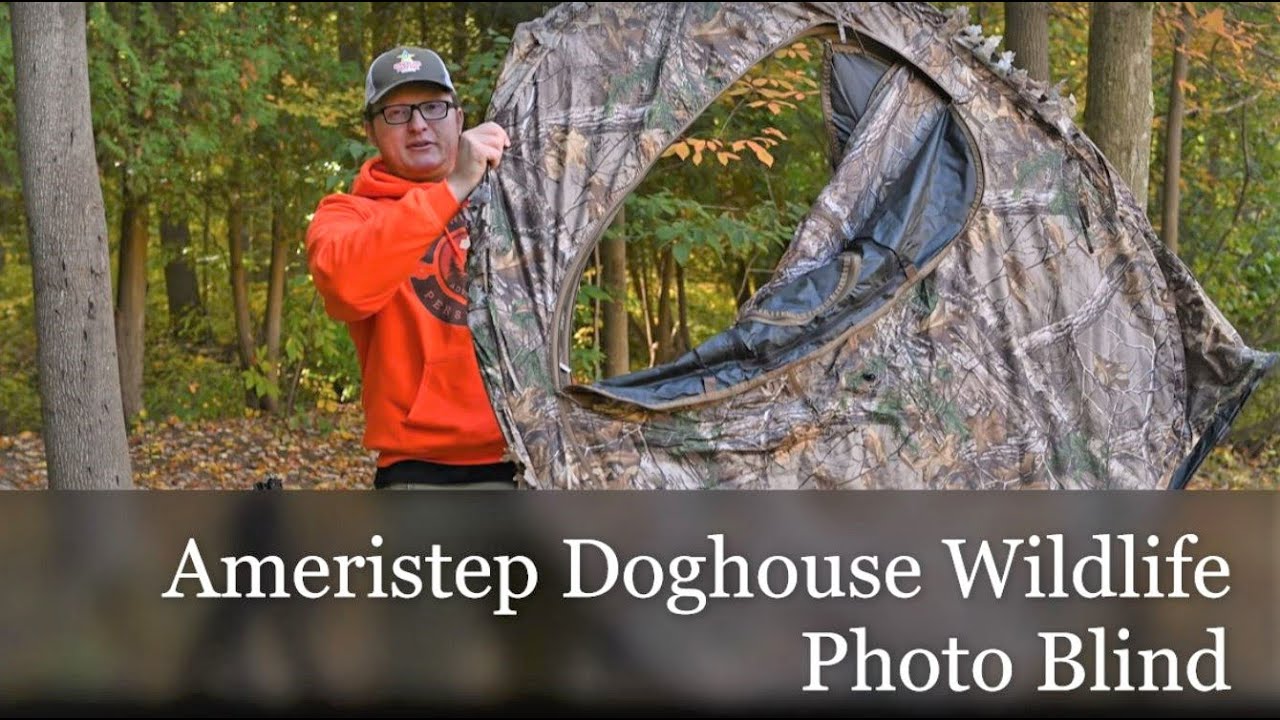 Ameristep Doghouse Wildlife Photography Blind — это лучший способ запечатлеть дикую природу!
