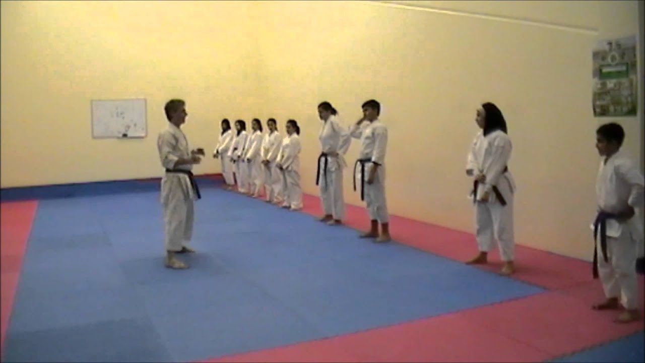 sensei luis maria sanz