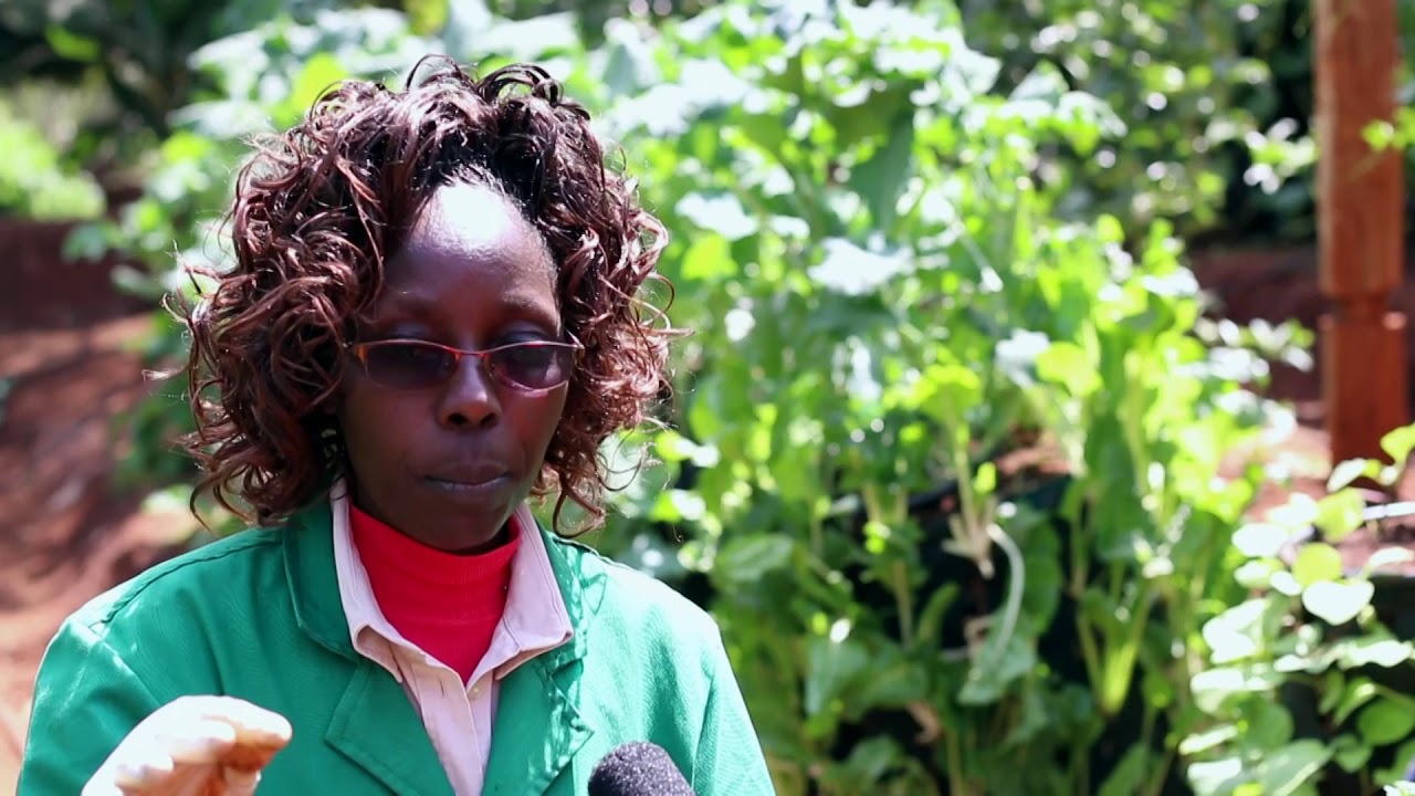 Vertical Bag Farming