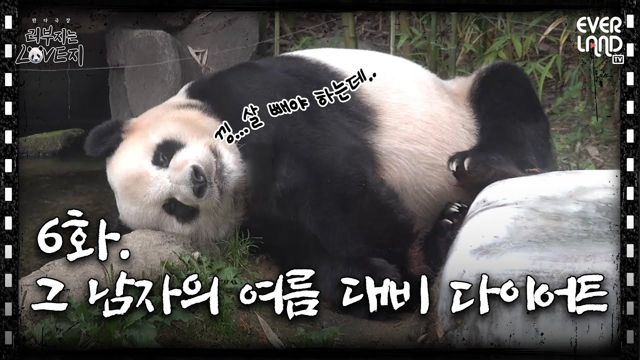 죽순은 살 안 쪄유~ 러부지의 오운완 챌린지│ #러부지는LOVE지 EP.6 그 남자의 여름 대비 다이어트