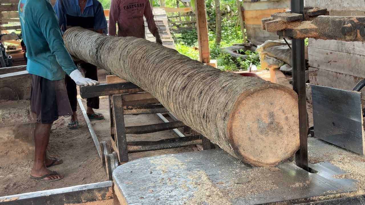 Complete Tutorial on Processing Coconut Trees into 2x20