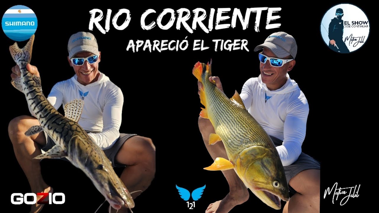 Gran pesca en el río corriente, apareció el Tiger!!!