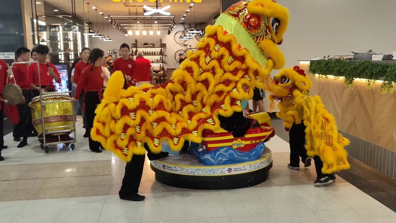 萌萌的狮子商场舞狮表演Lion Dance performance in shopping center baby Lion Chinese new year Lunar new year