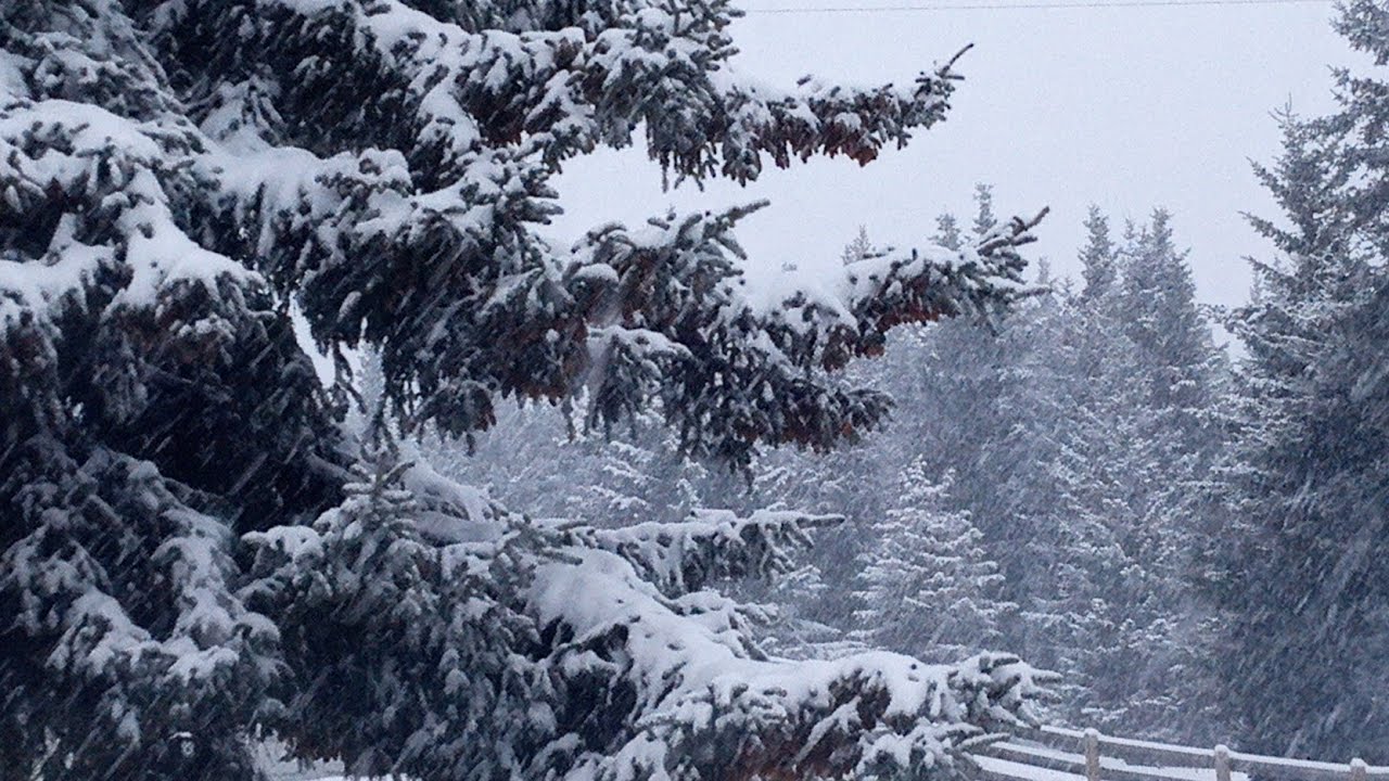 A Snowy Day Walk And Talk About Living in A Dry Cabin In The Winter And Some Snow, Homer Alaska 2026