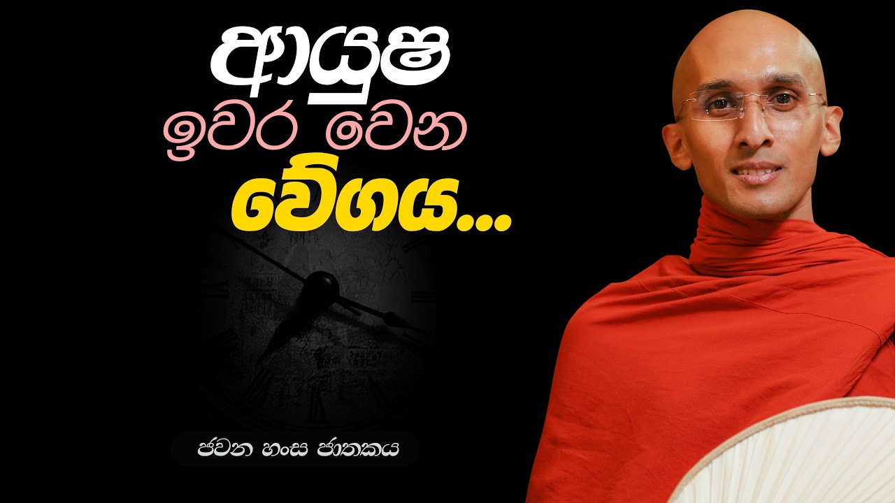 251. ආයුෂ ඉවර වෙන වේගය... | ජවන හංස ජාතකය | 2024-02-03